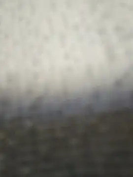 Snapshot of fit_ass_2021 chatting on July 11, 2026, 3:04 pm fit ass 2021 online show from July 11, 2026, 3:04 pm
