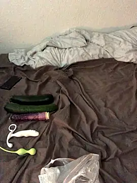 Snapshot of RobinSub chatting on December 2, 2024, 9:45 am RobinSub online show from December 2, 2024, 9:45 am