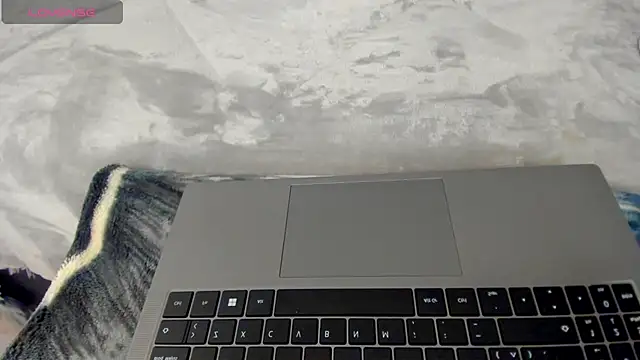 Dephne   online show from December 4, 2025, 2:10 am