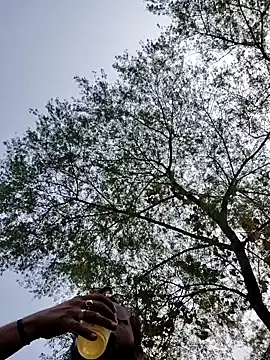 Eroticdick69 online show from October 16, 2025, 7:42 am