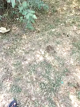 rameshmry1 online show from March 29, 2026, 5:29 am