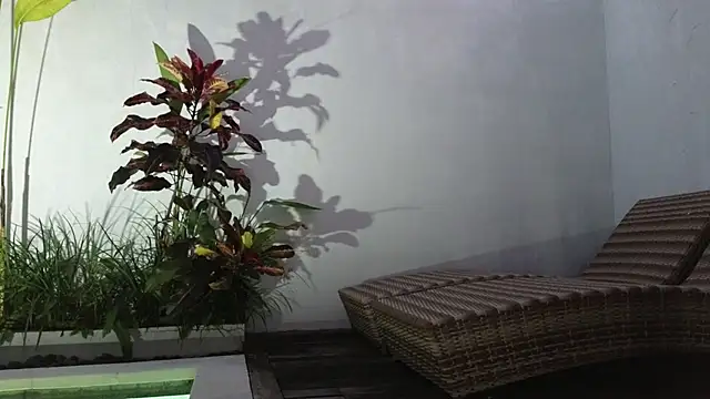 Snapshot of TammiLou chatting on March 6, 2025, 10:52 am TammiLou online show from March 6, 2025, 10:52 am