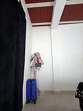 jaramilloali online show from March 13, 2026, 3:29 pm