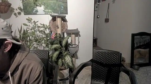 Snapshot of sexnherbs chatting on May 14, 2026, 3:13 am sexnherbs online show from May 14, 2026, 3:13 am