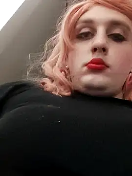 TransNikol97 online show from May 2, 2026, 12:48 am
