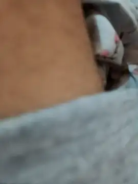 Snapshot of riggijaviersalas chatting on November 14, 2025, 1:15 am riggijaviersalas online show from November 14, 2025, 1:15 am