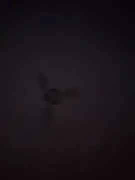 Snapshot of 1Aleks13 chatting on November 25, 2025, 10:54 pm 1Aleks13 online show from November 25, 2025, 10:54 pm