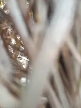 Snapshot of FinableKnee chatting on September 19, 2025, 4:47 am FinableKnee online show from September 19, 2025, 4:47 am