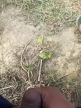 Snapshot of FinableKnee chatting on November 29, 2025, 10:07 am FinableKnee online show from November 29, 2025, 10:07 am