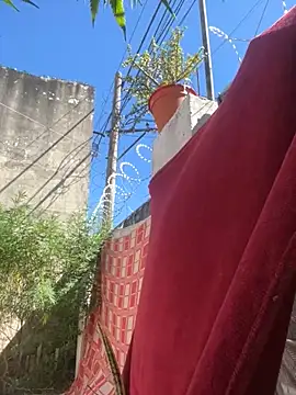 Alicbranca online show from March 15, 2026, 2:34 pm