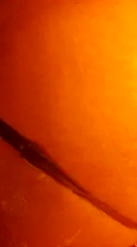 Snapshot of k_lebannon chatting on December 31, 2024, 11:49 pm k lebannon online show from December 31, 2024, 11:49 pm