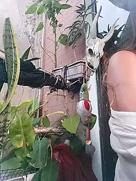 Snapshot of k_lebannon chatting on February 20, 2025, 8:36 pm k lebannon online show from February 20, 2025, 8:36 pm