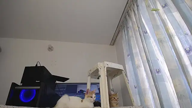 eolicasex online show from March 7, 2025, 4:00 pm