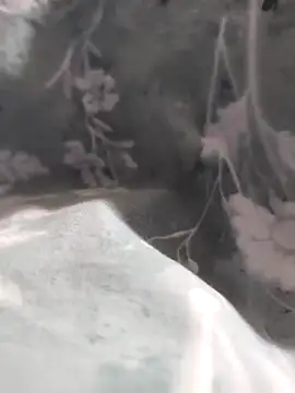 Snapshot of Elixire1 chatting on January 6, 2026, 4:32 pm Elixire1 online show from January 6, 2026, 4:32 pm