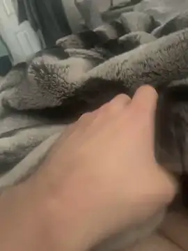 Snapshot of Furdale chatting on December 4, 2024, 11:52 am Furdale online show from December 4, 2024, 11:52 am