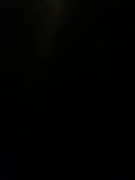 Snapshot of Furdale chatting on December 9, 2024, 5:52 pm Furdale online show from December 9, 2024, 5:52 pm