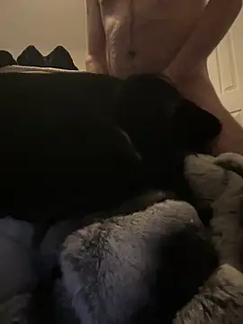 Snapshot of Furdale chatting on December 30, 2024, 3:35 pm Furdale online show from December 30, 2024, 3:35 pm