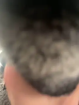 Snapshot of Furdale chatting on February 22, 2025, 4:40 pm Furdale online show from February 22, 2025, 4:40 pm