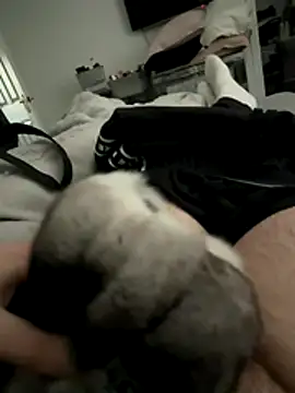 Furdale online show from December 16, 2025, 3:06 pm