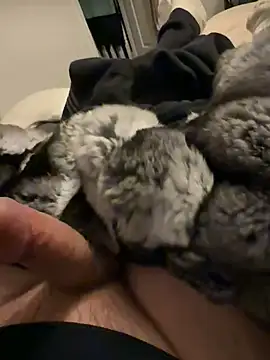 Furdale online show from February 3, 2026, 6:35 pm