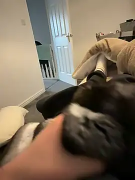 Furdale online show from March 12, 2026, 4:57 pm