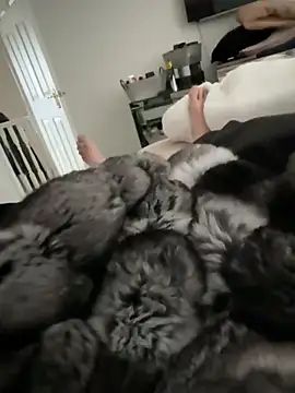 Furdale online show from March 15, 2026, 12:44 pm