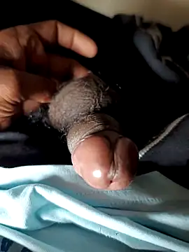 malluflash online show from November 29, 2025, 4:04 am