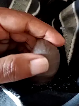 malluflash online show from February 14, 2026, 8:00 am