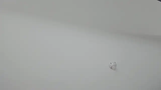 Snapshot of ms_pickless chatting on January 30, 2025, 12:16 pm ms pickless online show from January 30, 2025, 12:16 pm