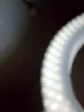 Snapshot of rodovlaz chatting on February 19, 2025, 12:35 am rodovlaz online show from February 19, 2025, 12:35 am