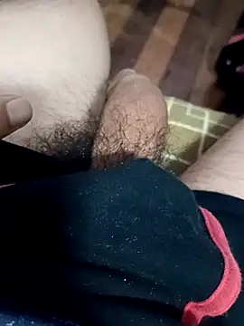 Snapshot of rodovlaz chatting on February 22, 2025, 3:56 am rodovlaz online show from February 22, 2025, 3:56 am