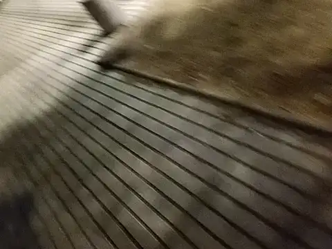 Snapshot of rodovlaz chatting on February 27, 2025, 12:32 am rodovlaz online show from February 27, 2025, 12:32 am