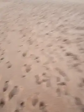 Snapshot of rodovlaz chatting on September 17, 2025, 10:44 pm rodovlaz online show from September 17, 2025, 10:44 pm