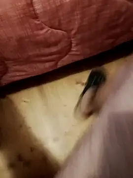 jon763 online show from September 22, 2025, 7:32 am