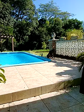 dutra498 online show from February 9, 2026, 7:18 pm