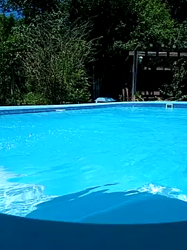 dutra498 online show from February 11, 2026, 4:23 pm