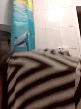 Snapshot of Zulfiya_Bruce chatting on November 1, 2025, 6:10 pm Zulfiya Bruce online show from November 1, 2025, 6:10 pm