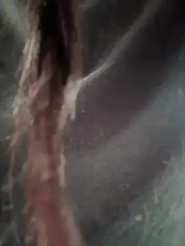 Snapshot of __IRIS__ chatting on February 14, 2025, 4:31 pm IRIS online show from February 14, 2025, 4:31 pm