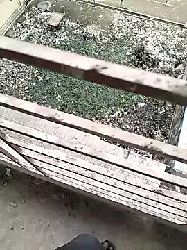 Snapshot of chittagong77 chatting on February 22, 2026, 9:52 am chittagong77 online show from February 22, 2026, 9:52 am