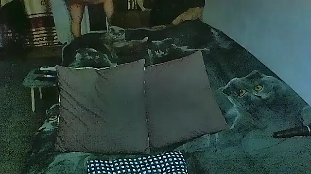 sex2 online show from February 28, 2026, 11:06 pm