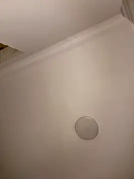 Drkats online show from March 18, 2026, 1:53 am