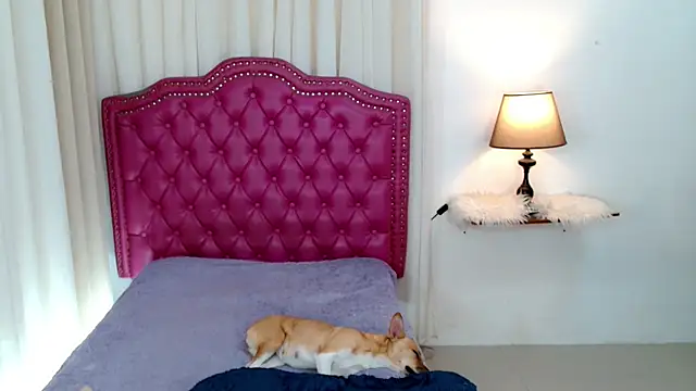 DreamLADYBOY online show from February 24, 2026, 1:03 am