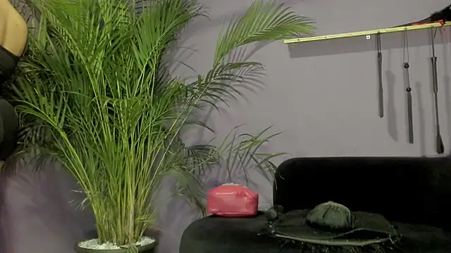kathe hot online show from April 30, 2026, 7:31 pm