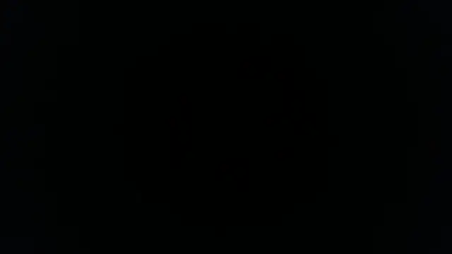 Snapshot of palidin1 chatting on November 26, 2025, 1:17 am palidin1 online show from November 26, 2025, 1:17 am