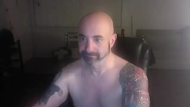 palidin1 online show from February 6, 2026, 5:01 am