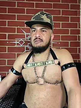 the master foal  online show from February 4, 2026, 2:34 pm