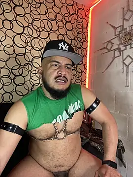 the master foal  online show from February 27, 2026, 7:03 pm