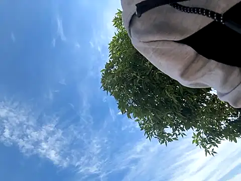 Snapshot of kingdennis6666 chatting on September 17, 2025, 7:26 pm kingdennis6666 online show from September 17, 2025, 7:26 pm