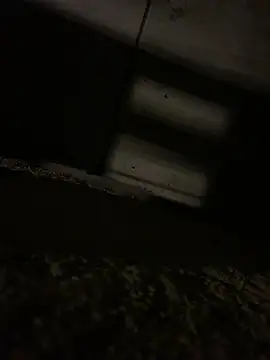 JotaCe2022 online show from April 23, 2026, 9:39 pm