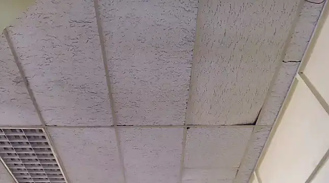 Snapshot of Mydreamgirrl chatting on March 6, 2025, 1:46 pm Mydreamgirrl online show from March 6, 2025, 1:46 pm